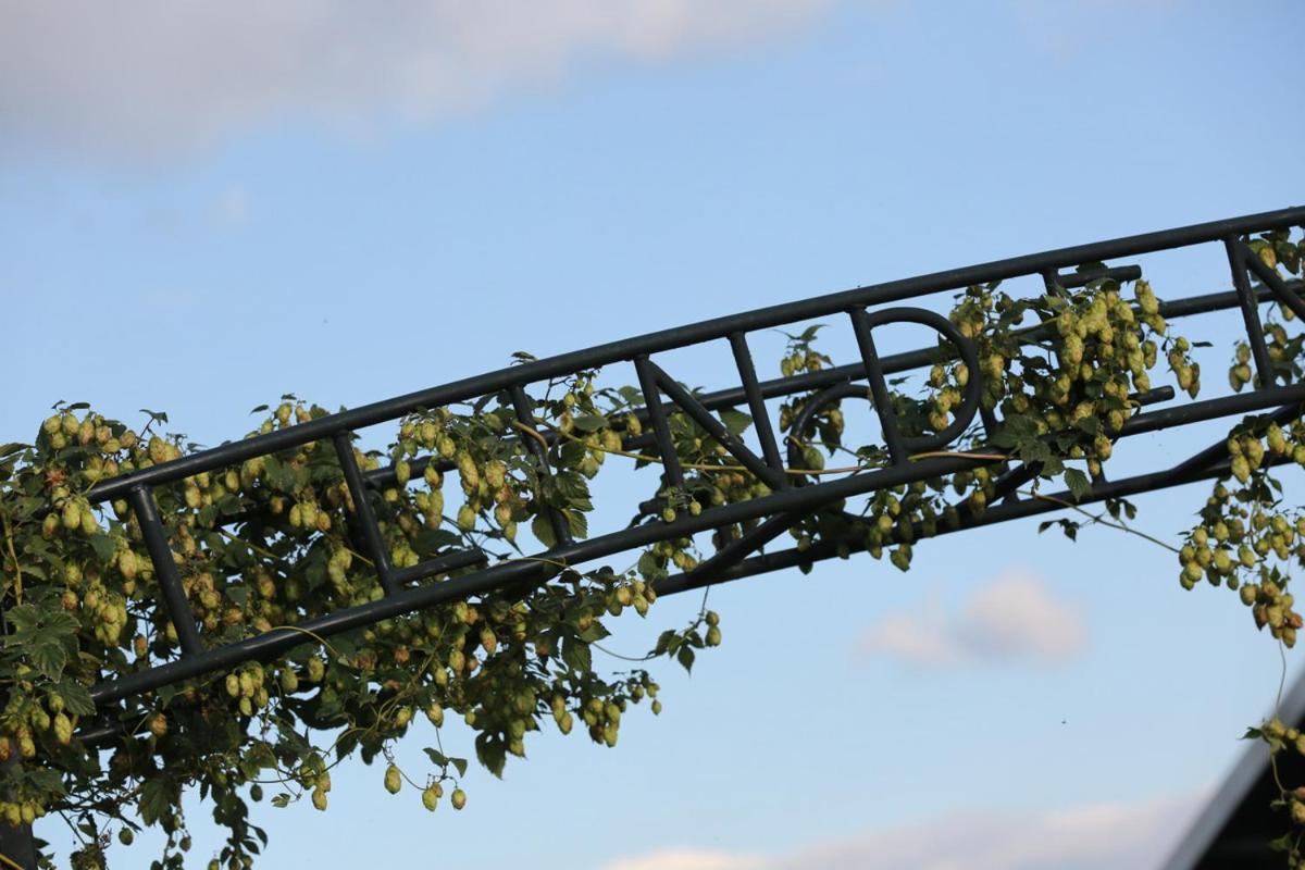 Bed and Breakfast De Lindenhof Tienhoven Esterno foto